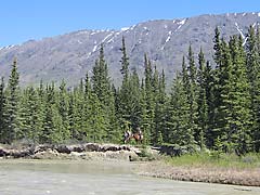 Watson River with Caribou Mountain in background